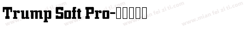 Trump Soft Pro字体转换